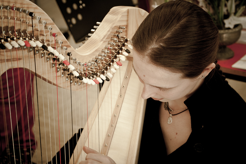 Harp Festival (10 of 54).jpg